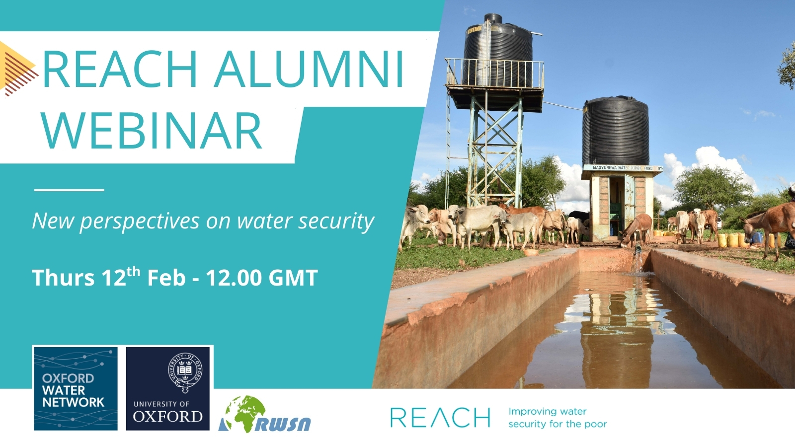 REACH Alumni webinar flyer